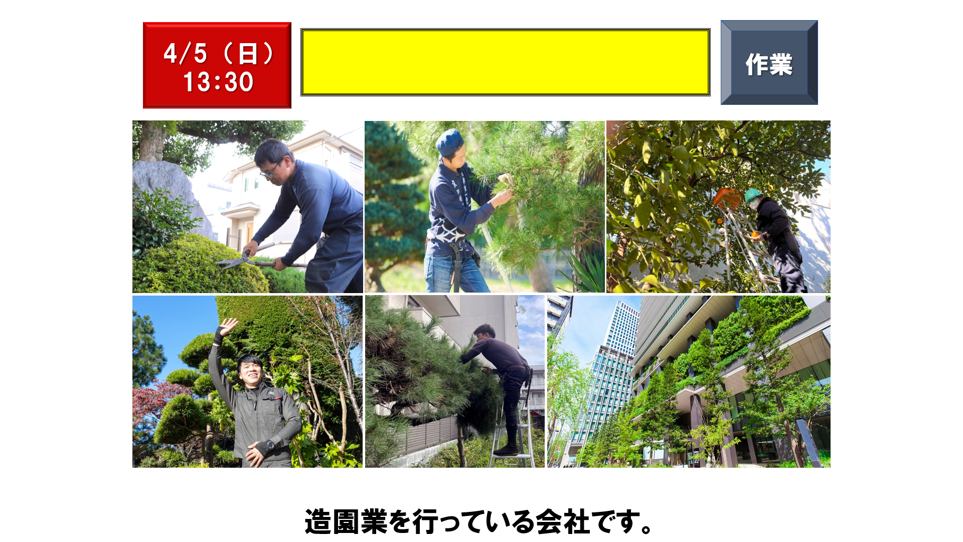 仕事、バイト、正社員